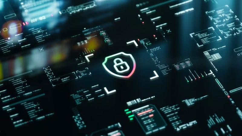 白云区软件开发公司